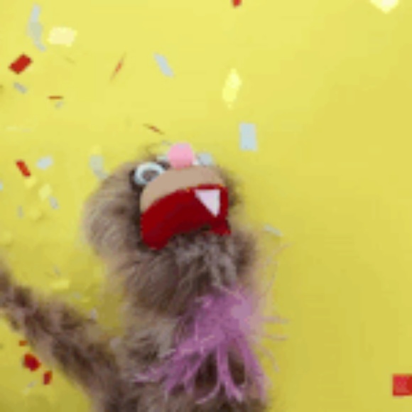 Meet your Posher, Jamie - Picture 6 of 6